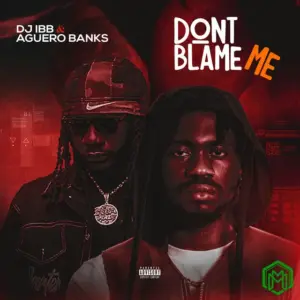 Don’t Blame Me audio by DJ IBB feat. Aguero Banks