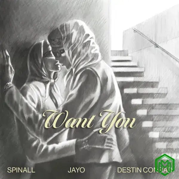 Want You audio by SPINALL feat. JayO and DESTIN CONRAD