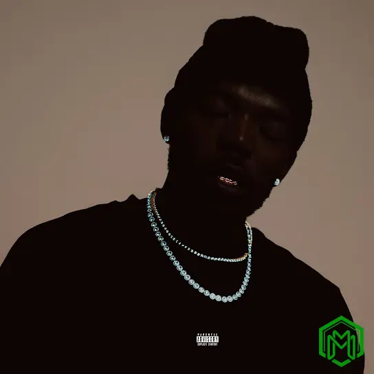 THE SECRET FREQUENCY Album audio by MashBeatz