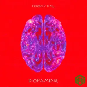Fireboy DML – Dopamine