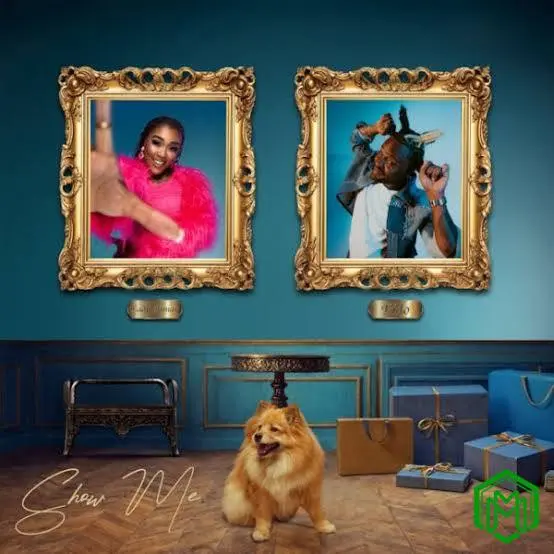 Show Me audio by Lady Zamar feat. Fido