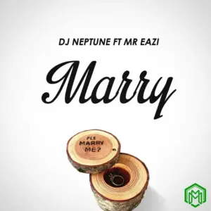 DJ Neptune - Marry ft. Mr Eazi