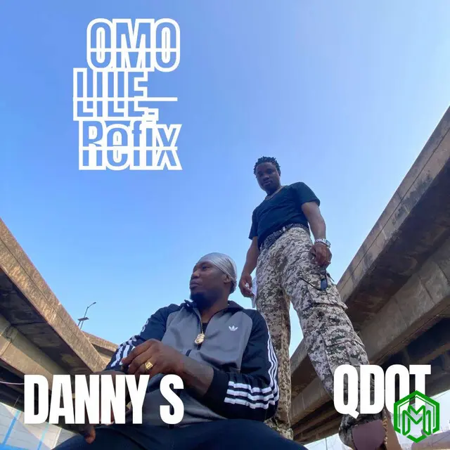 Omo Lile (Refix) audio by Danny S feat. Qdot