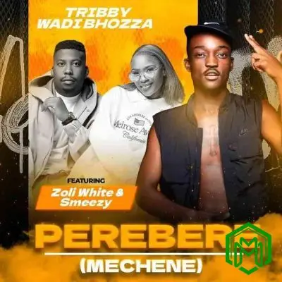 Perebere (Mechene) audio by Tribby Wadi Bhozza feat. Zoli White Smoke, SmeezyOn The Beat