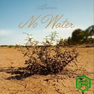 No Water audio by Libianca