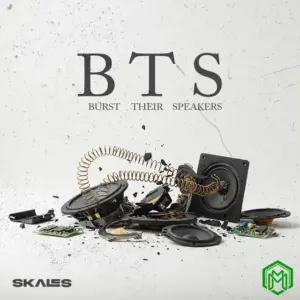 Skales – B.T.S (Burst Their Speakers)