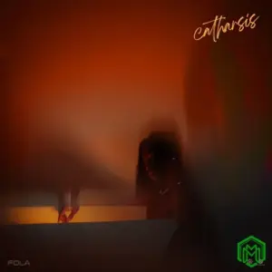 FOLA – disco ft Young Jonn