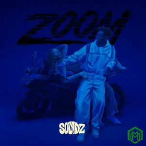 Zoom audio by Soundz