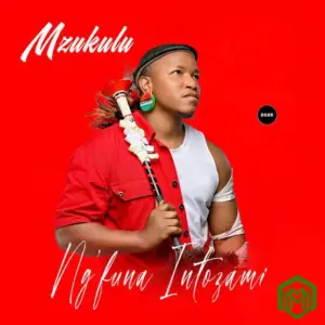 Ng’funa intozami Album audio by Mzukulu