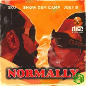 Normally audio by Show Dem Camp feat. Joey B, BOJ