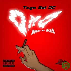 Omo (Burst My Head) audio by Tega Boi Dc