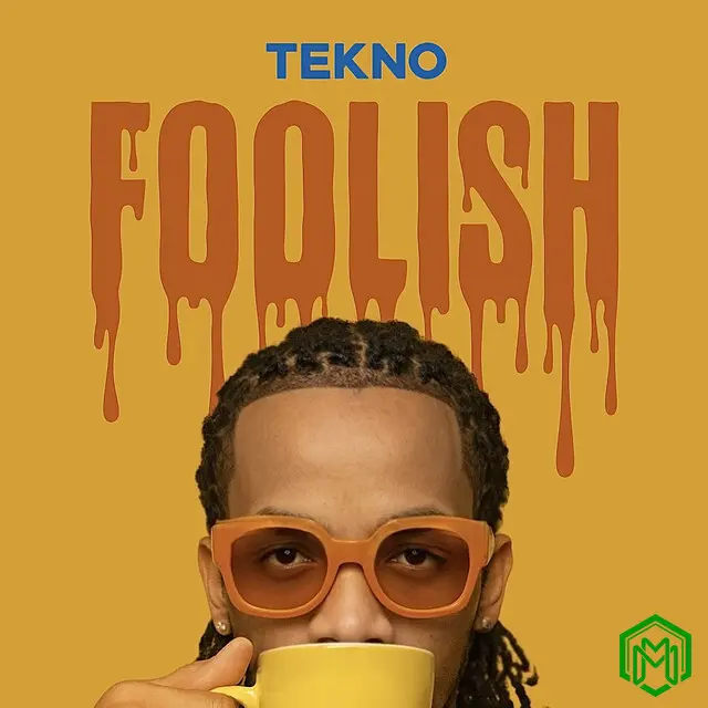 Foolish audio by Tekno