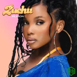 Reason audio by Zuchu