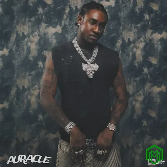 Auracle Album audio by Shallipopi